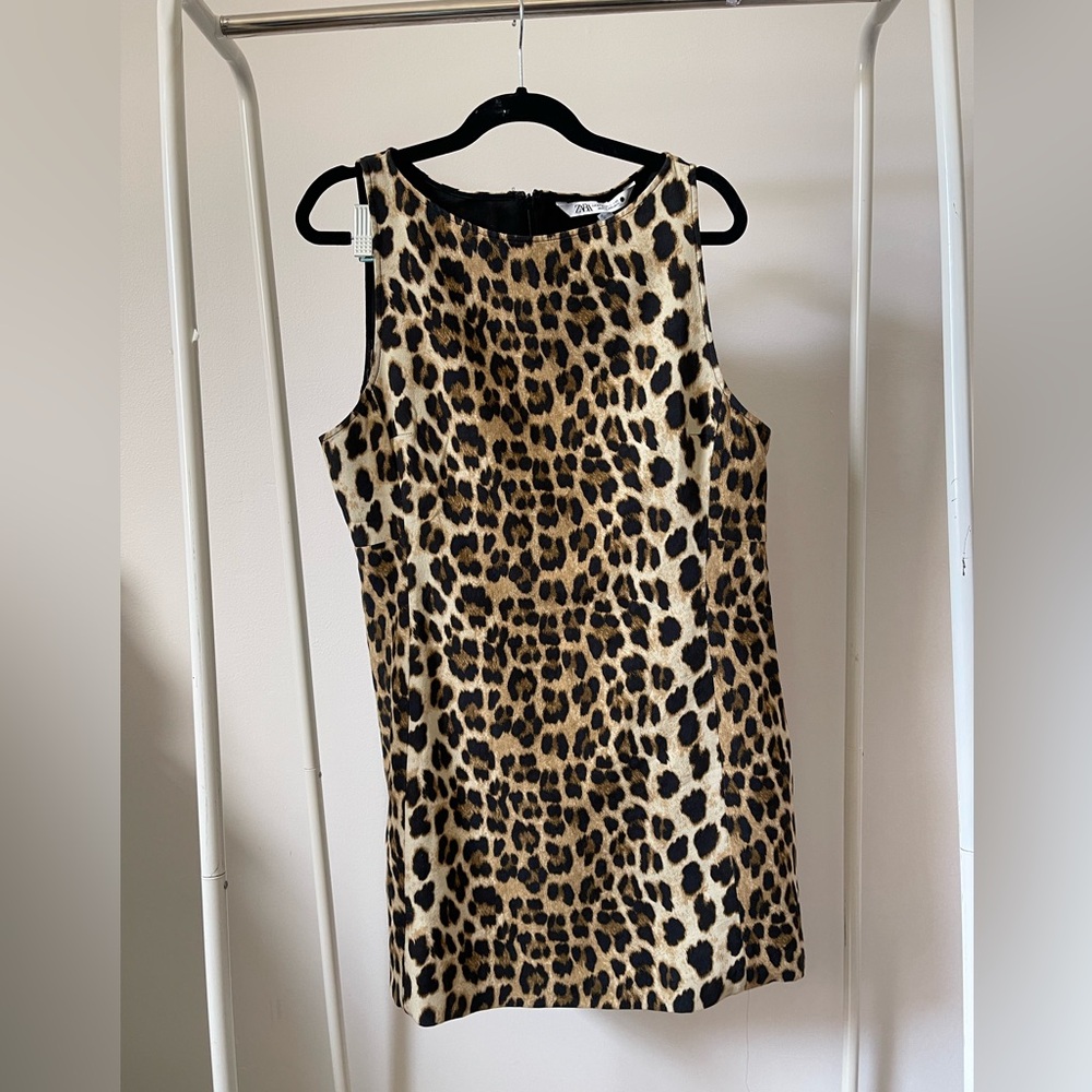 Zara Leopard Print Mini Dress